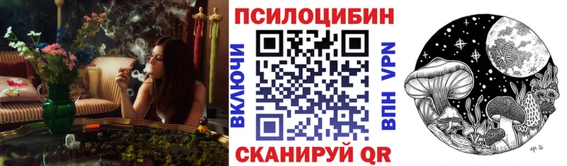 МЕГА   Пойковский  Псилоцибиновые грибы мицелий 